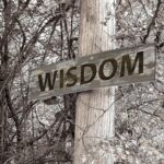 personal experiences