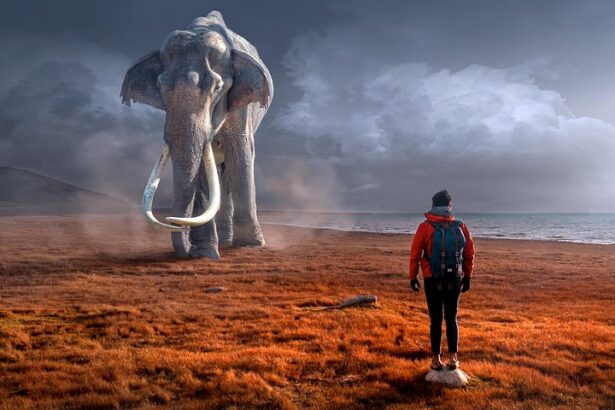 ADVENTURE