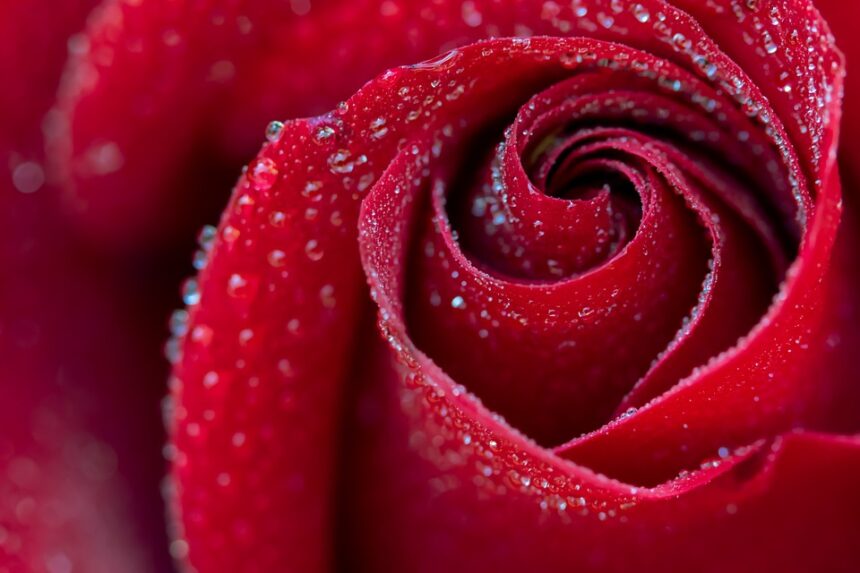 romance