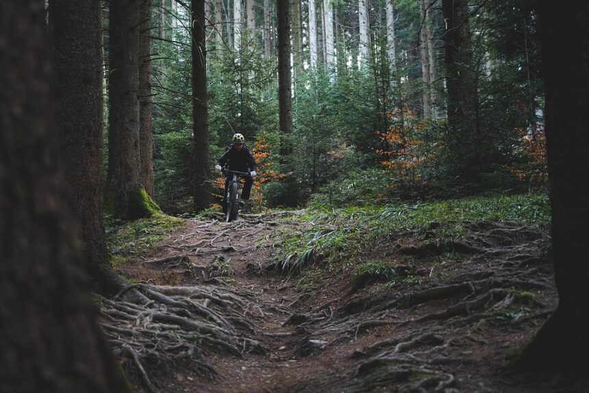 ADVENTURE