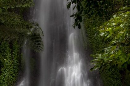 nature
