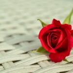 romance