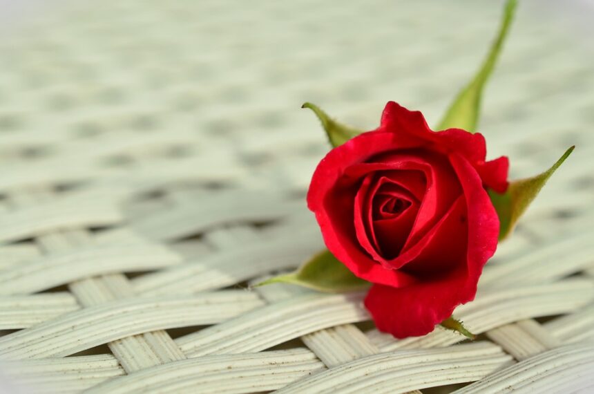 romance