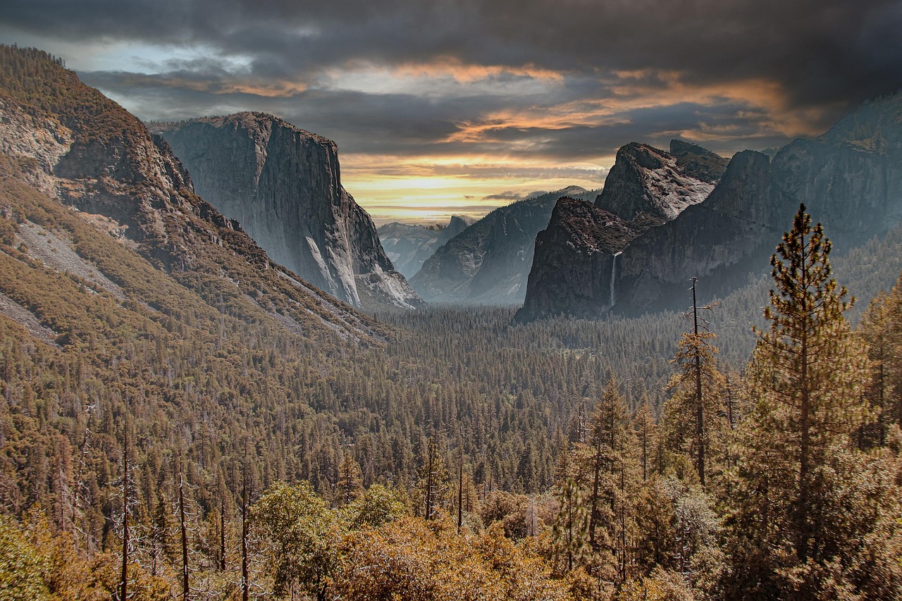 Yosemite, sunset, forest, national park, fall, mountains, usa, nature, landscape, yosemite, yosemite, yosemite, sunset, forest, national park, national park, national park, national park, national par