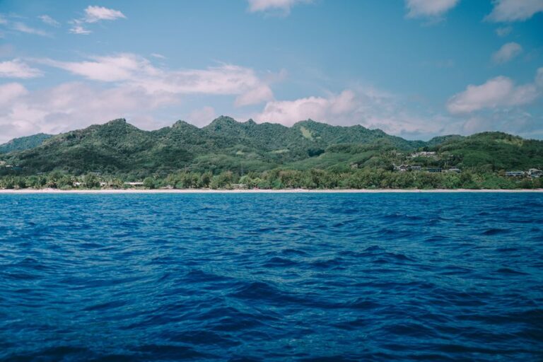 Breathtaking view of lush green island with mountains and clear blue ocean under a bright sky.
