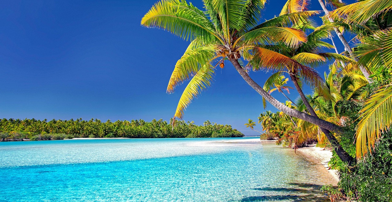 Cook islands, beach, palm trees, sand, sea, nature, island, vacations, ocean, to travel, water, paradise, tropical, landscape, heaven, relax, exotic, aitutaki