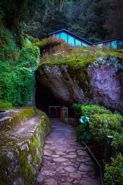 A scenic cave entrance in a moss-covered rocky landscape surrounded by dense forest greenery.