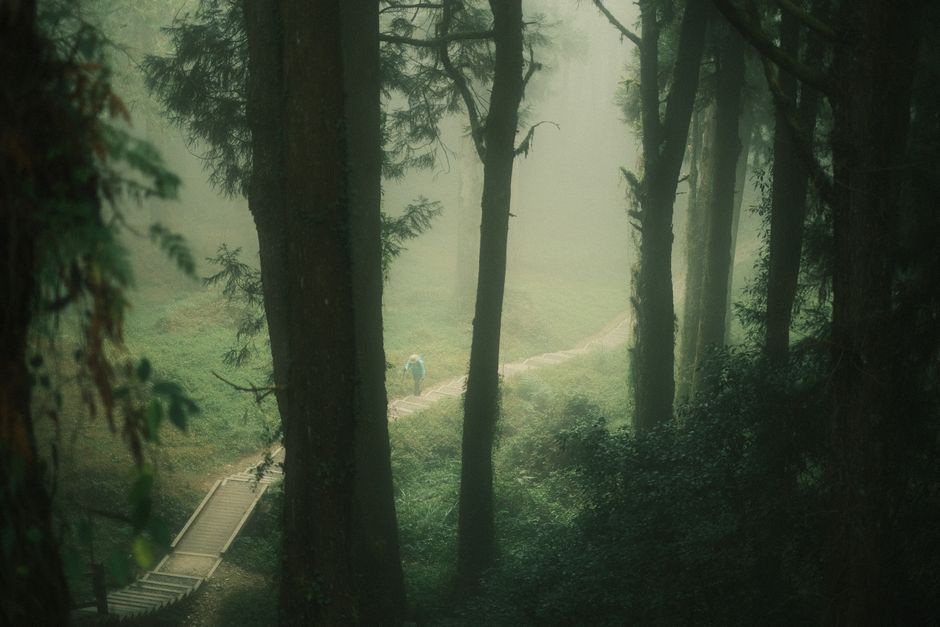 Explore the serene beauty of Alishan's misty forest trails in Taiwan.