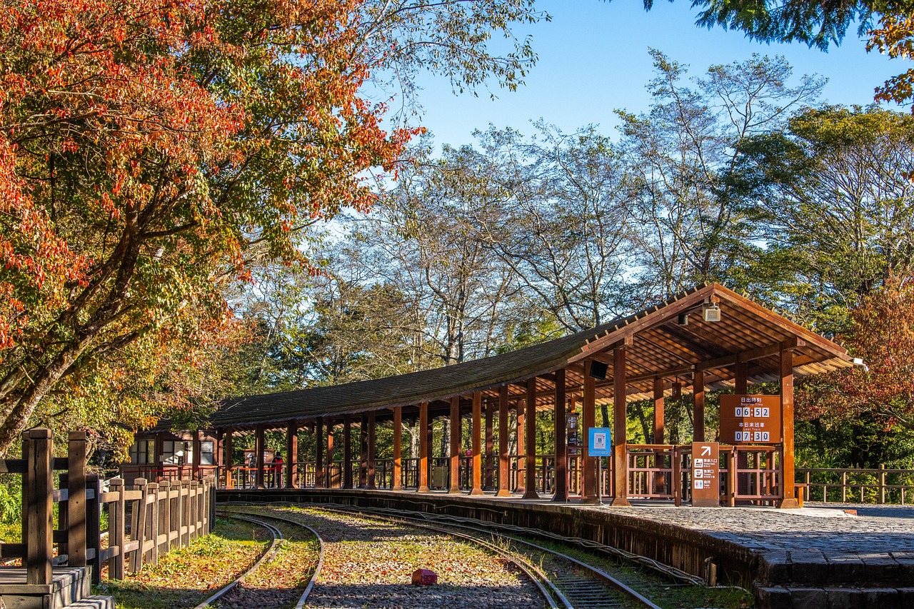 Train platform, taiwan, nature, autumn, alishan, landscape, forest, countryside, railway, train track, maple trees