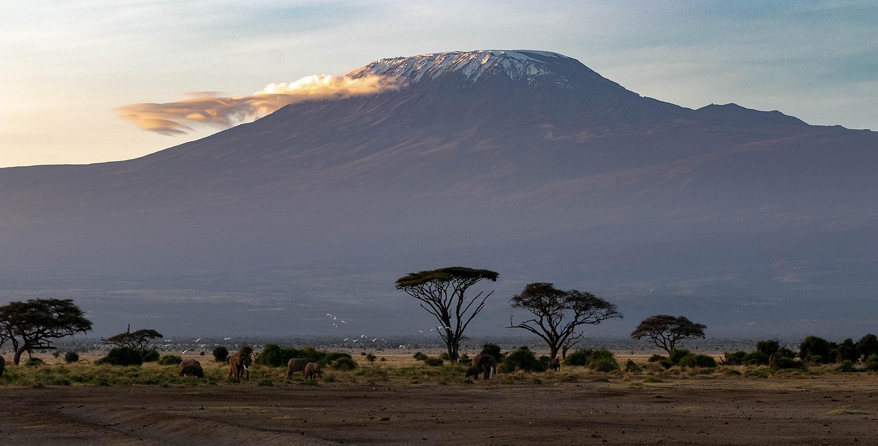 Africa, kenya, amboseli national park, safari, wilderness, landscape, national park, kilimanjaro, nature, savannah, wildlife, kenya, kenya, kilimanjaro, kilimanjaro, kilimanjaro, kilimanjaro, kilimanj