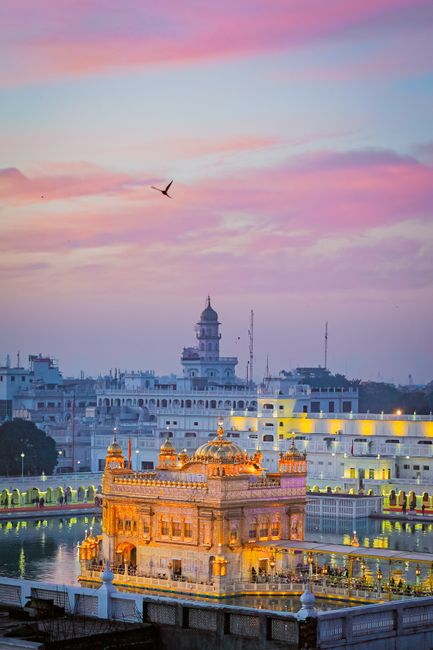 Illuminated Golden Temple in Amritsar at sunset with a pink sky, showcasing its architectural beauty.