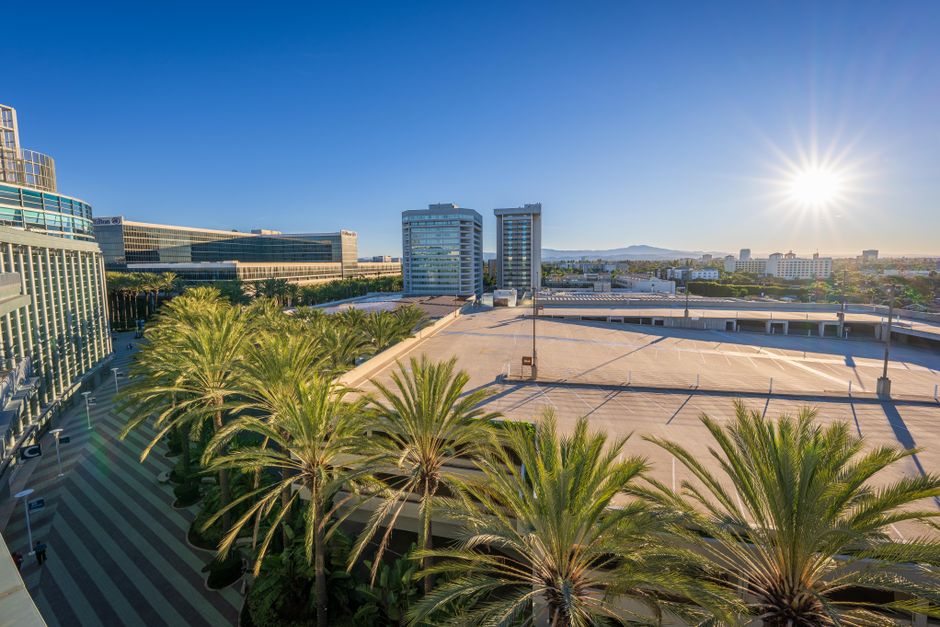 Cityscape featuring palm trees and modern buildings under a bright sunny sky.