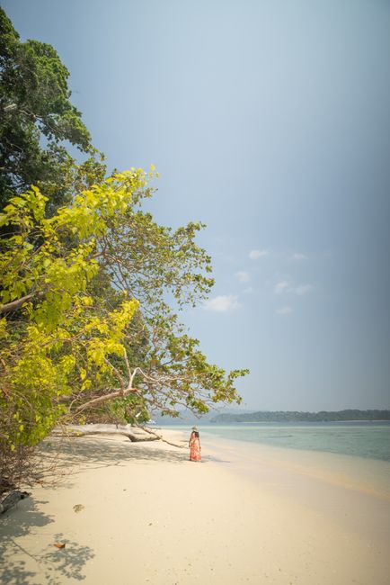 Serene beach with lush foliage in Andaman Islands, India, perfect for relaxation.