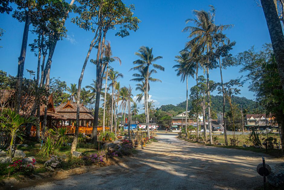 Beautiful tropical scenery in Ao Nang, Thailand with palm trees and blue skies.