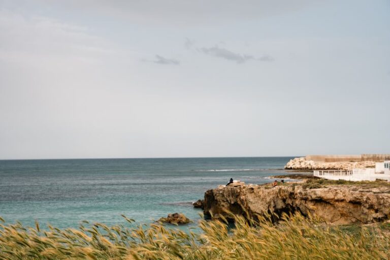 Captivating view of Monopoli's rocky coastline with clear skies and tranquil sea.