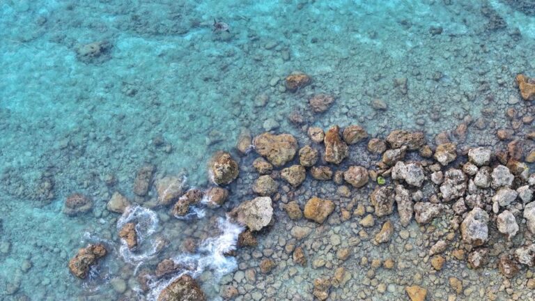 A stunning aerial view of clear turquoise waters with a rocky shoreline, exuding tranquility and natural beauty.