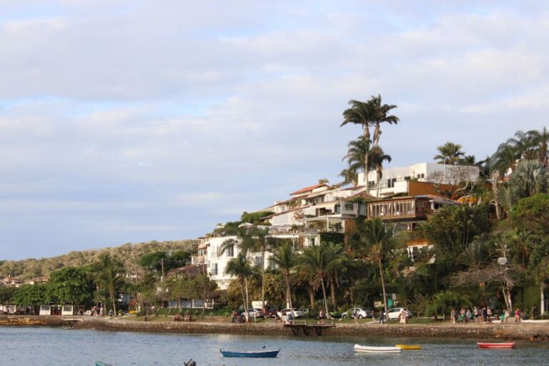 Charming hillside residences with palm trees overlooking a tranquil beach shore.