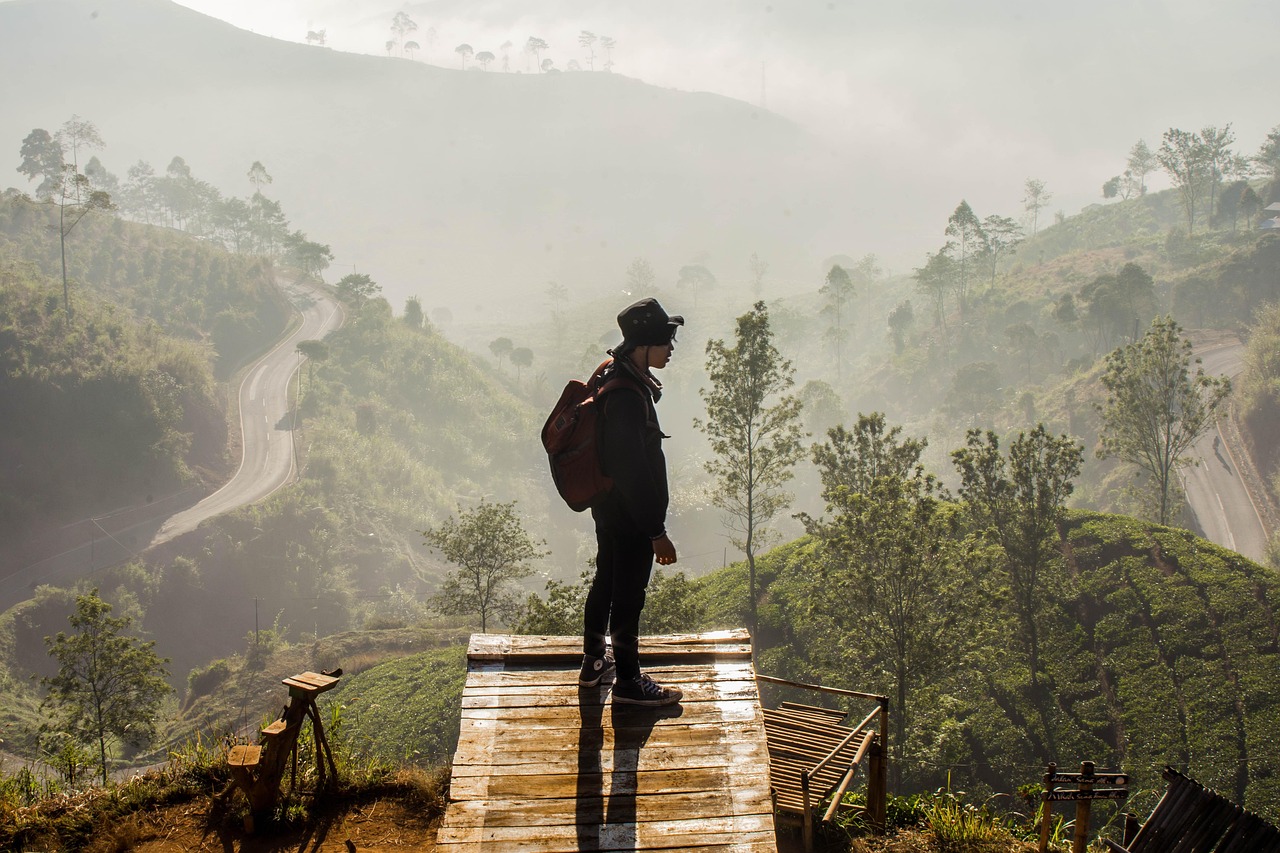 Man, view, bandung, indonesia, sunrise, landscape, nature, green, fog, asia, java, outdoor, explore, walker, tree, mood, calm, trees, foggy, pangalengan, morning, sunset, people, indonesia, indonesia,