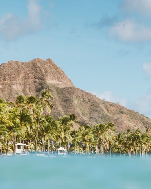 Scenic view of Diamond Head Crater surrounded by palm trees in Hawaii, capturing tropical beauty.