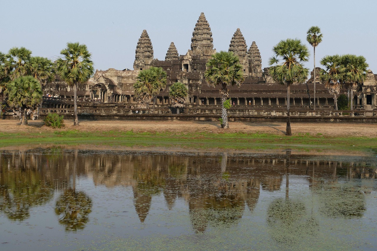 Angkor, angkor wat, cambodia, temple, asia, temple complex, historical, architecture, unesco, world heritage, unesco world heritage, siem reap, lake, pond, nature, palm tree, reflection