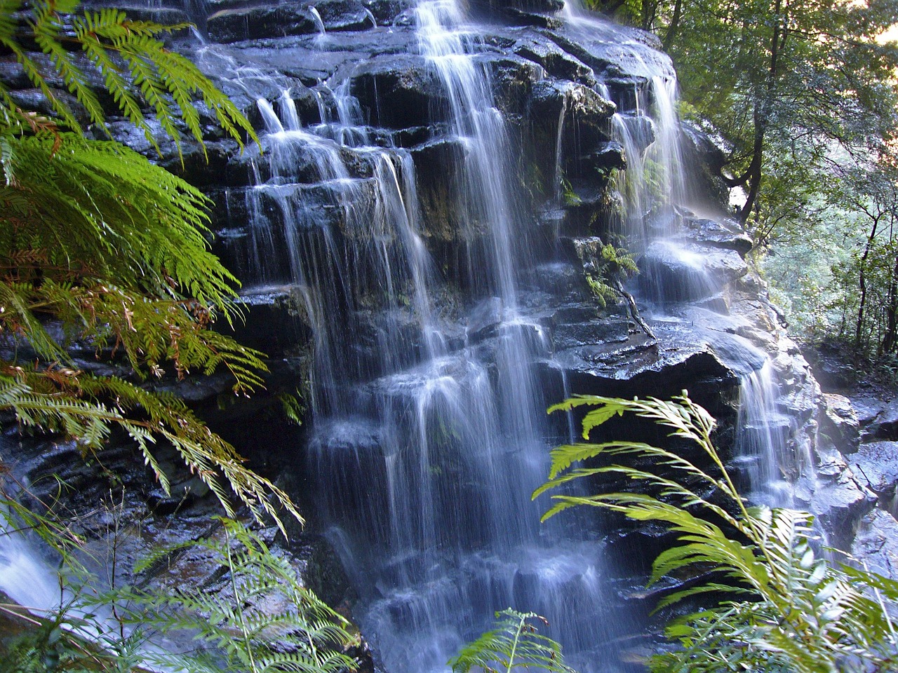 Waterfall, water, nature, landscape, idyll, australia, blue mountains, waterfall, australia, australia, australia, australia, australia
