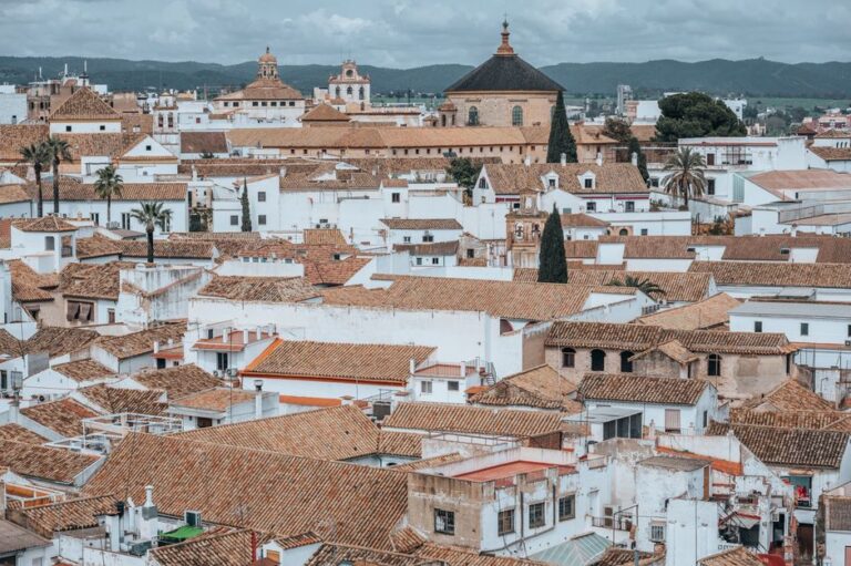 Aerial shot of Córdoba's traditional white rooftops and Mezquita, showcasing historic architecture.