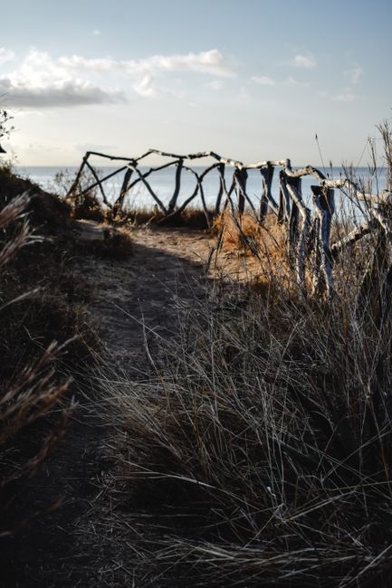 A scenic view of a rustic pathway lined with a wooden fence against the backdrop of the ocean in Funchal, Madeira.