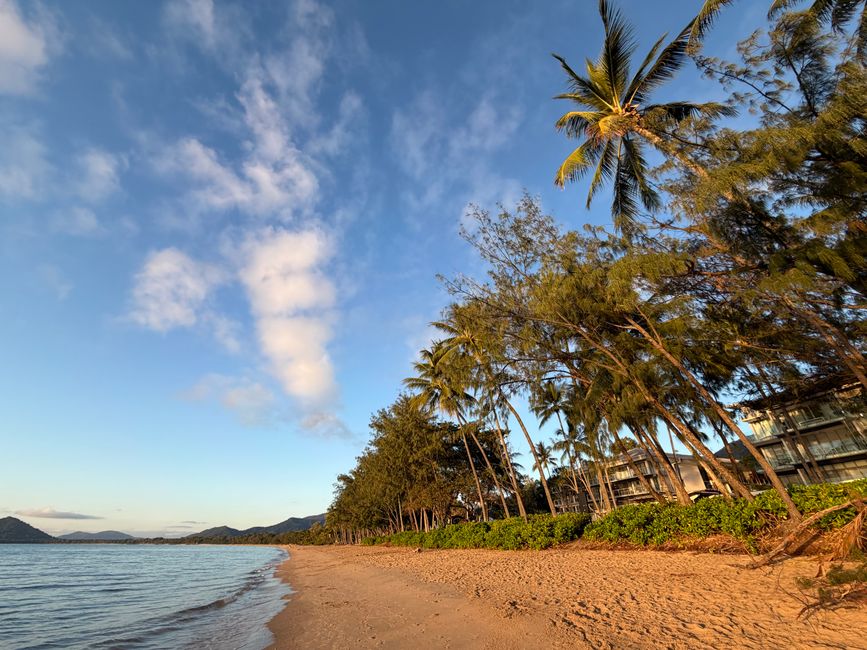 Idyllic tropical beach scene with swaying palm trees under a picturesque evening sky.