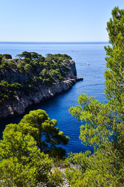 Explore the stunning calanques of Provence with crystal blue waters and lush pine trees.