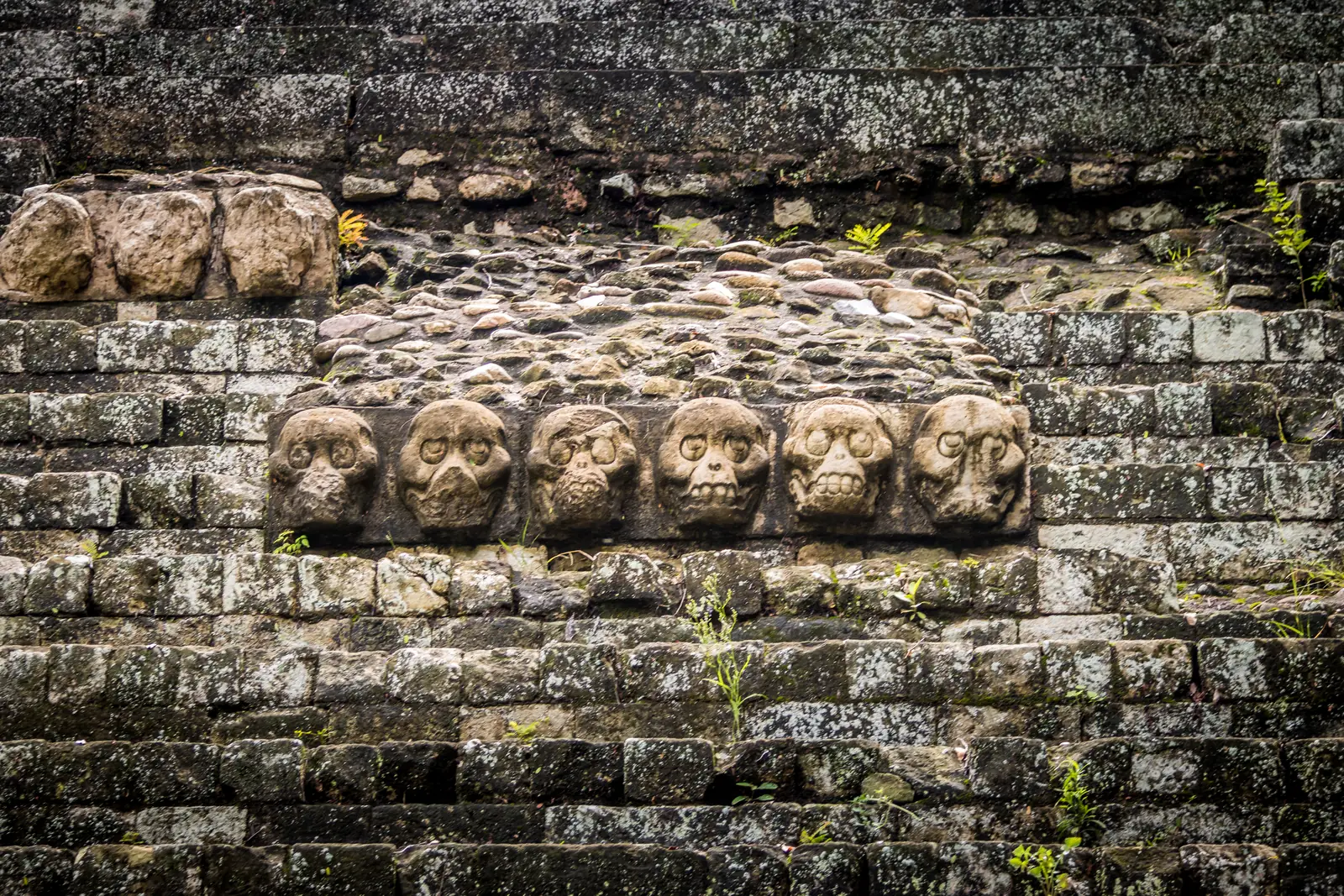 Carved detail at Mayan Ruins - Copan Archaeological Site, Honduras