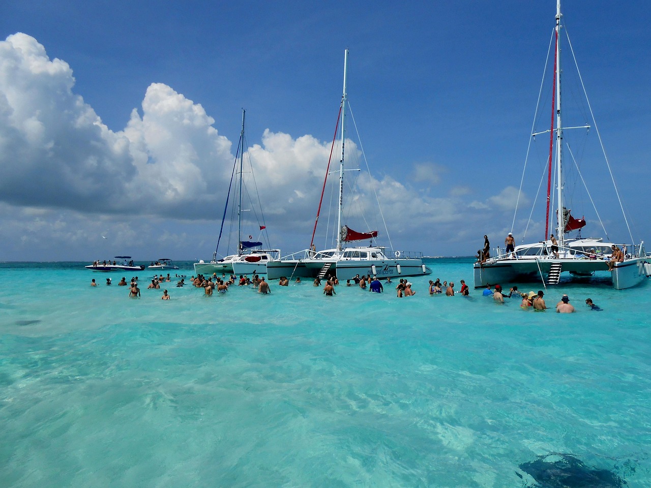 Grand cayman, nature, cayman islands, stingray city, stingrays, caribbean, island, vacation, scenic, cayman, blue, travel, ocean, blue island