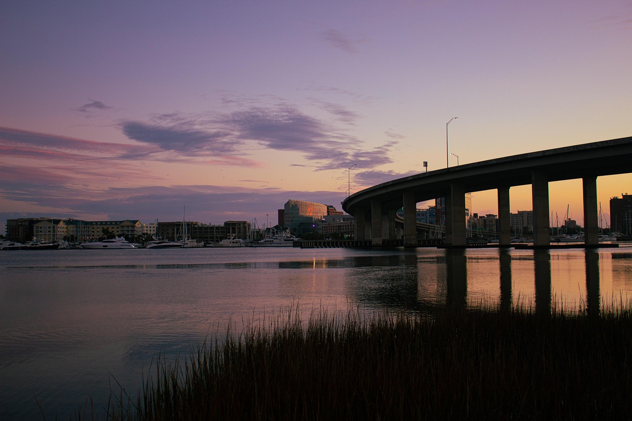 Bridge, charleston harbor, grass, sunset, water, city, cityscape, buildings, skyline, nature, sky, clouds, dusk, twilight, charleston, south carolina, usa
