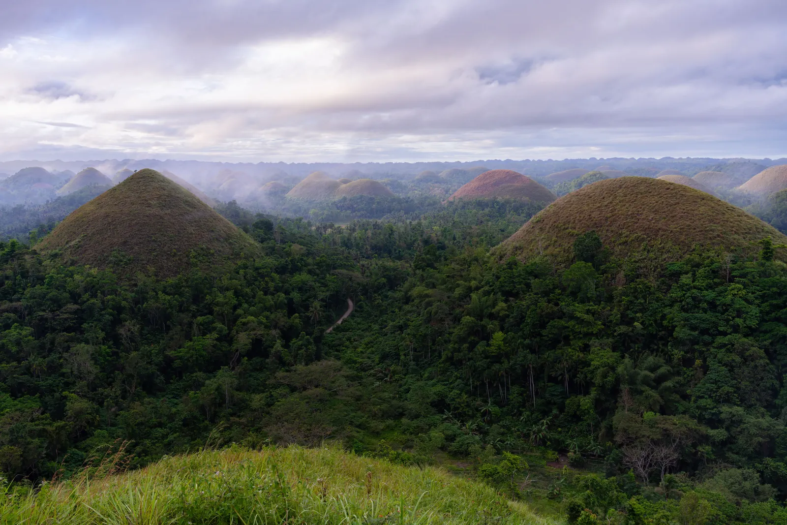 Aerial view of the cone-shaped Chocolate Hills of Bohol, Philippines