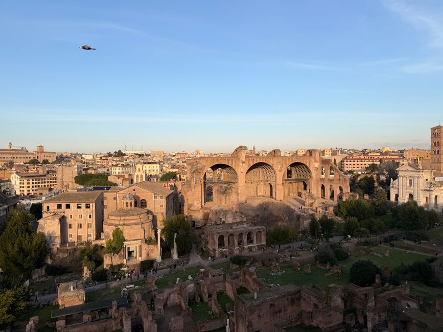 Panoramic view of the ancient Roman Forum ruins, capturing historic architecture at golden hour in Rome, Italy.