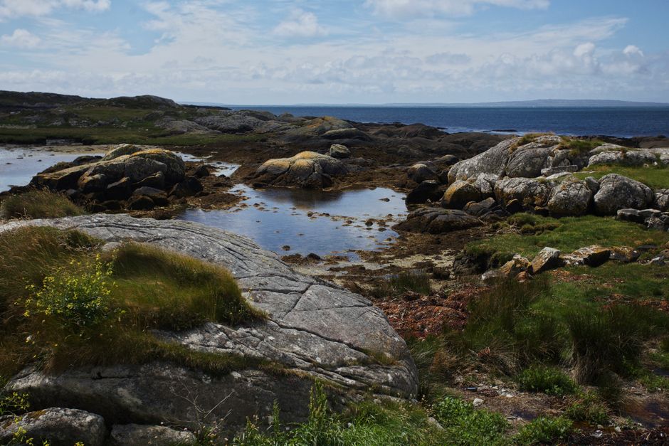 Tranquil coastal scene with rocks and grass in Connemara, Ireland.