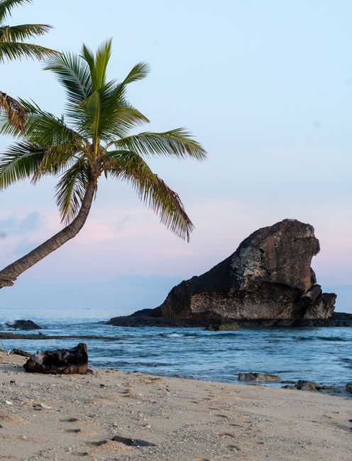 Experience a serene Fijian beach scene at sunrise, with a lone palm tree and calm ocean waves.