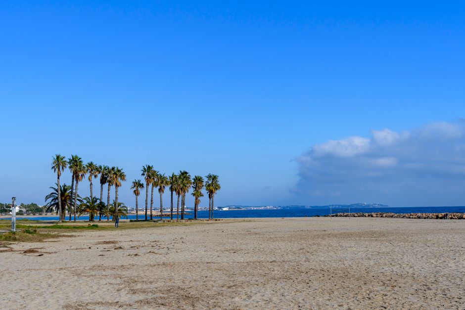 Scenic view of palm trees and sandy beach in Cambrils, Spain with a clear blue sky.