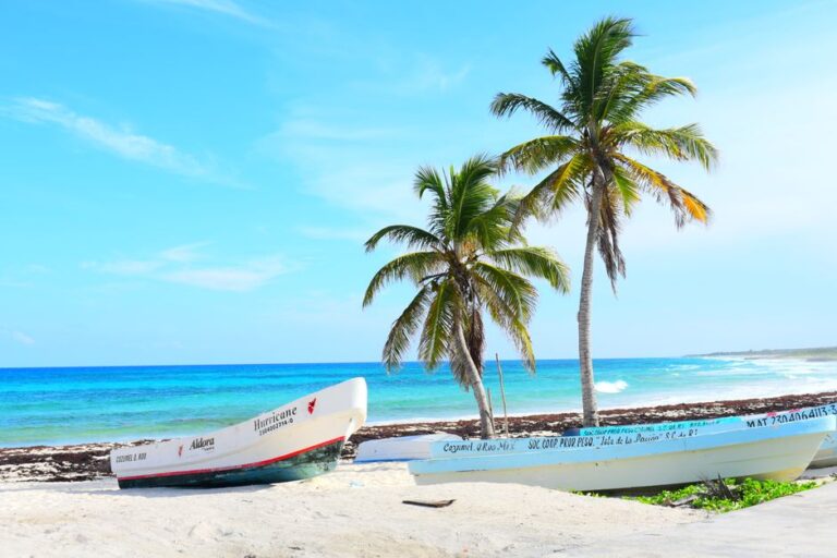 Bright tropical beach featuring boats on the shoreline under clear blue skies and palm trees.