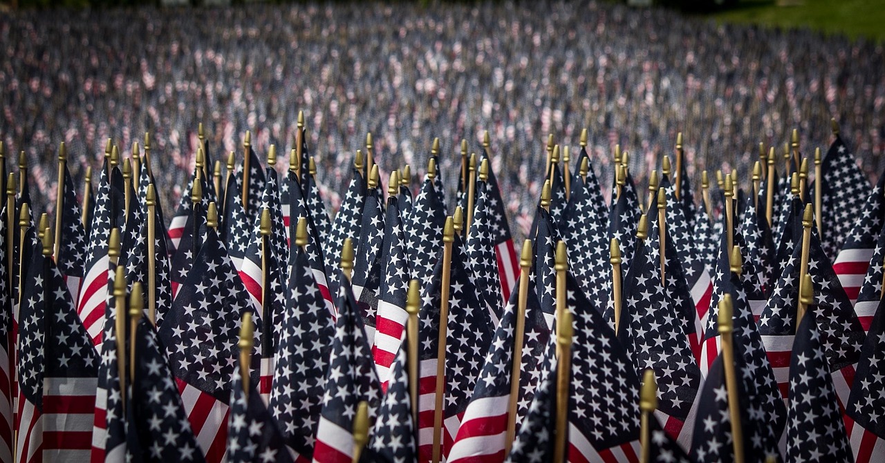 American flags, memorial day, memorial, flag, usa, red, blue, american flag, stripes, memorial day background, holiday, american flag background, american, gray background, gray memory, memorial day, 