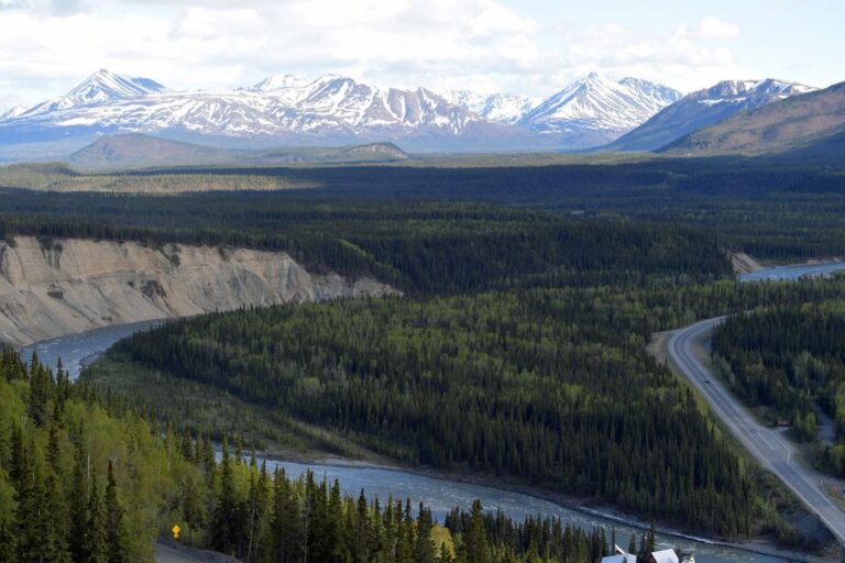 Breathtaking panoramic view of Denali National Park's mountains and forested valley.