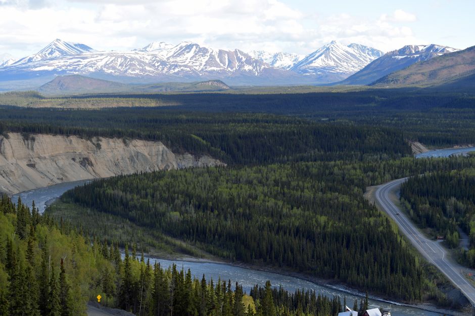 Breathtaking panoramic view of Denali National Park's mountains and forested valley.