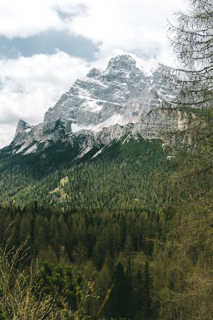 Breathtaking panorama of the Dolomite mountains showcasing lush forests and dramatic peaks in Italy.
