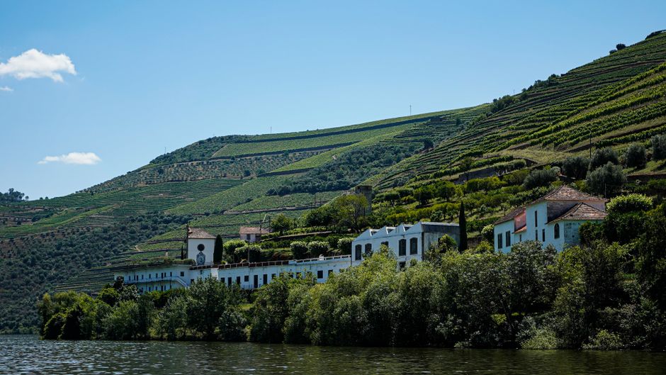 Captivating view of vineyards in the Douro Valley, Portugal, with lush green hills and traditional architecture.