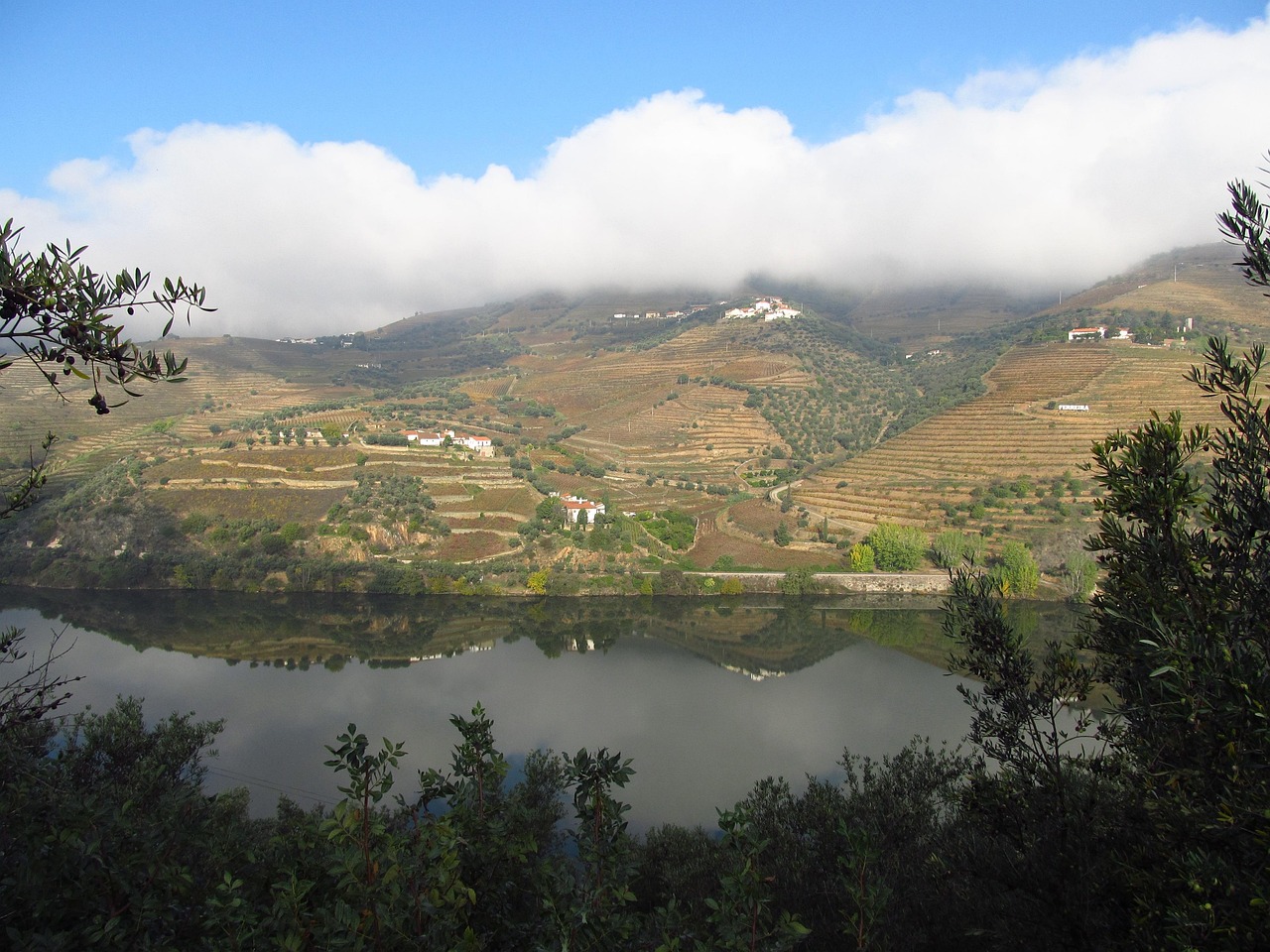 Portugal, valley, river, douro, nature, landscape, douro, douro, douro, douro, douro