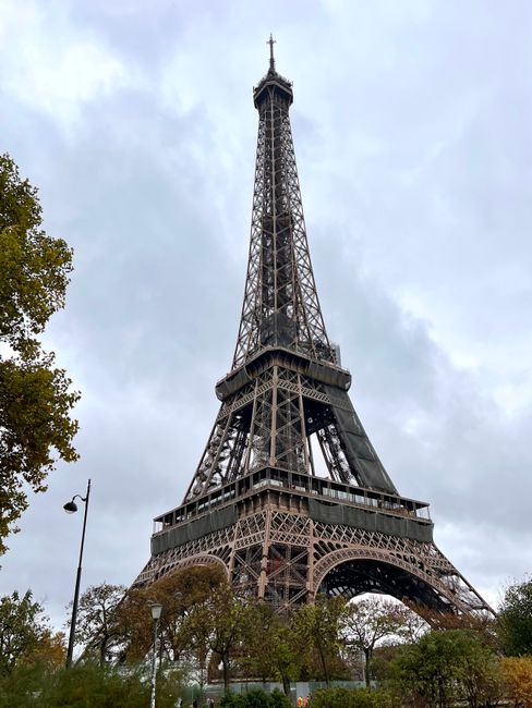 Capture of the Eiffel Tower from a low angle, showcasing its intricate steel structure.