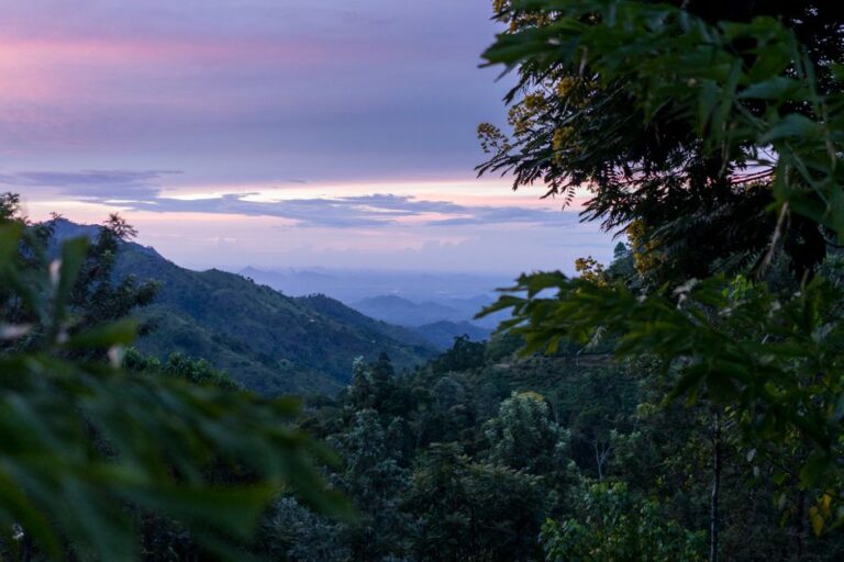 Breathtaking view of Ella's lush mountains and foliage under a serene twilight sky.