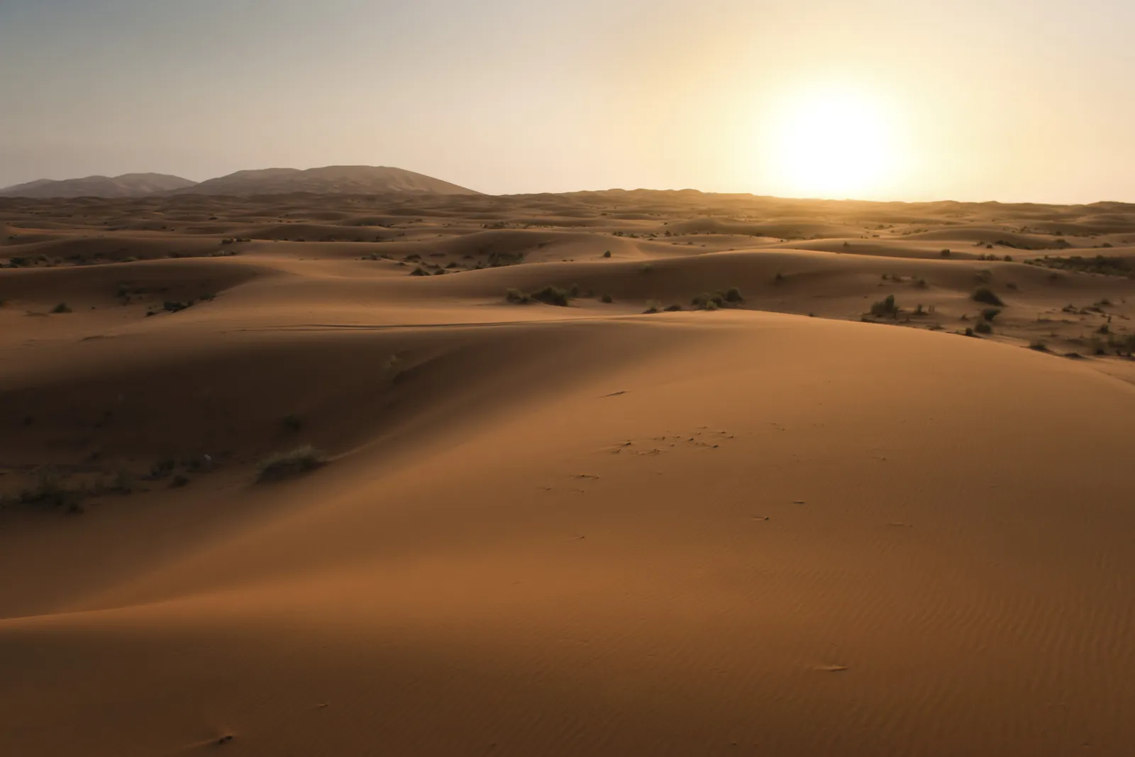 Sunrise over the Sahara dunes of Erg Chebbi near Merzouga, Morocco