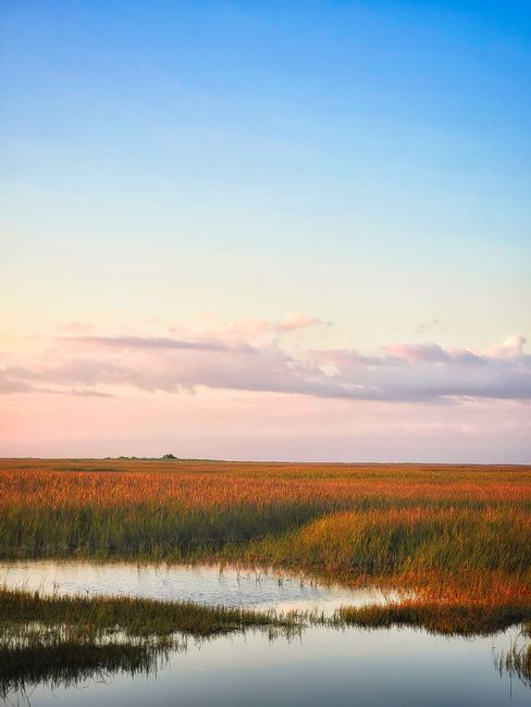 Serene image of the Everglades marshland at sunset, highlighting lush grasses and a vibrant sky.