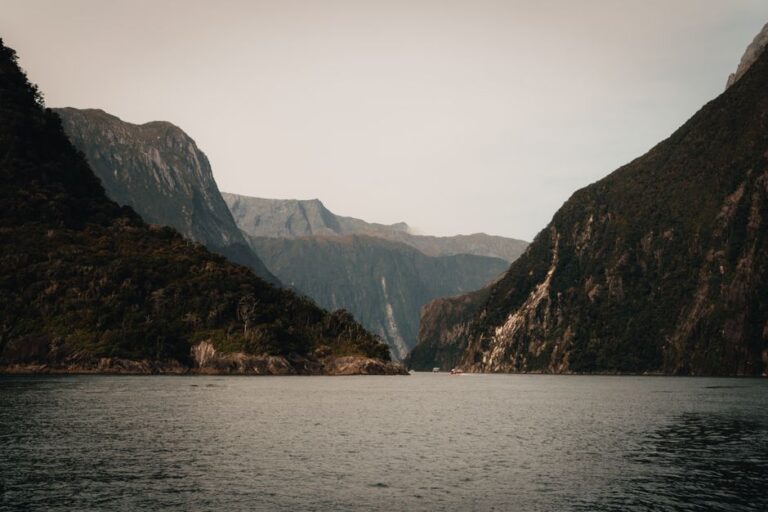 Peaceful view of Milford Sound fjord in New Zealand's Fiordland with dramatic cliffs and calm waters.