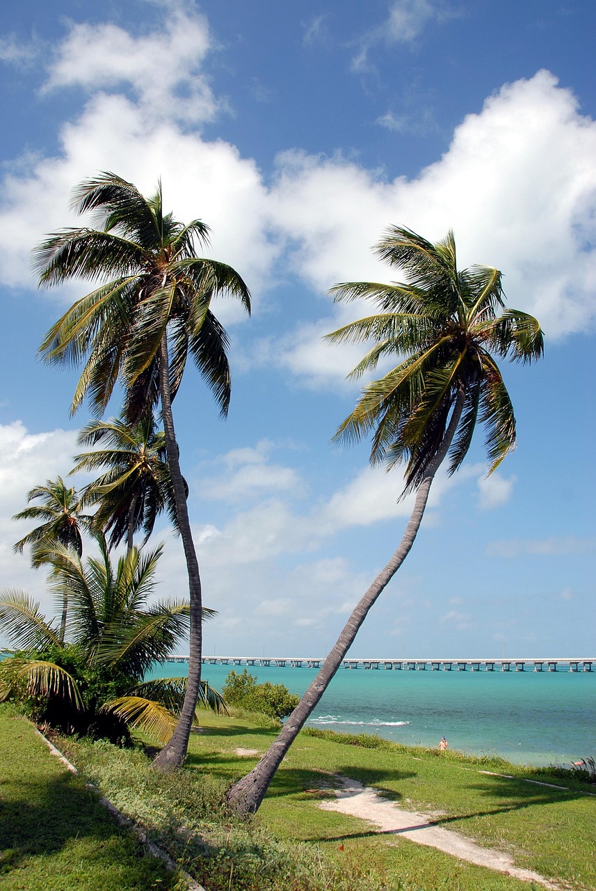 Bahia honda state park, florida keys, seven mile bridge, tourism, vacation, key west, florida, water, ocean, usa, sea, sky, landmark, park, blue, paradise, palm, travel, tree, beach, nature, historic,